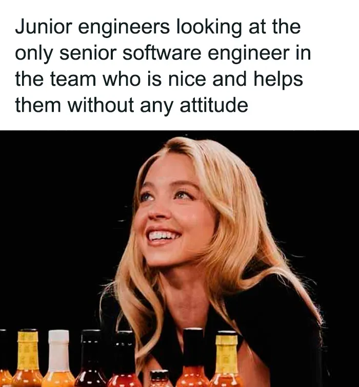 30 Of The Best Jokes And Memes About All Things Programming (New Pics)