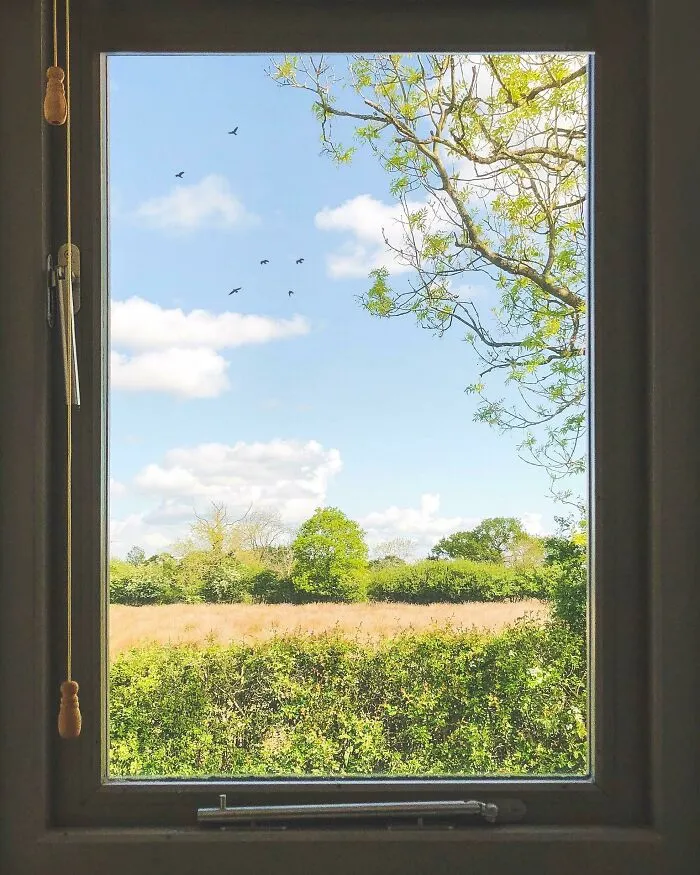 Window Frame = Picture Frame. The View From My Bedroom