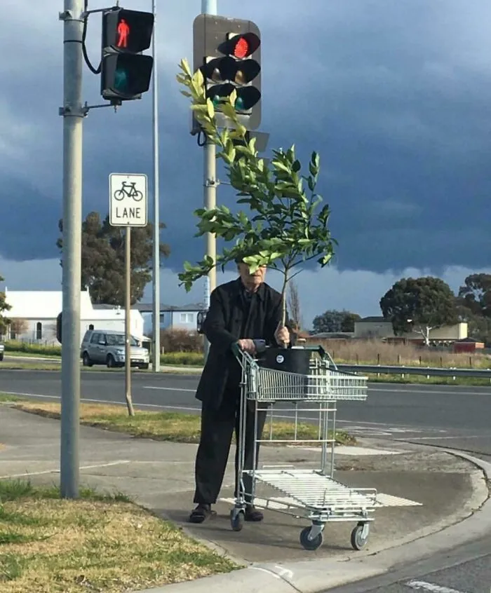 Magritte accidental