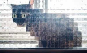 50 Times People Snapped A Pic And Realized It Was An Accidental Masterpiece