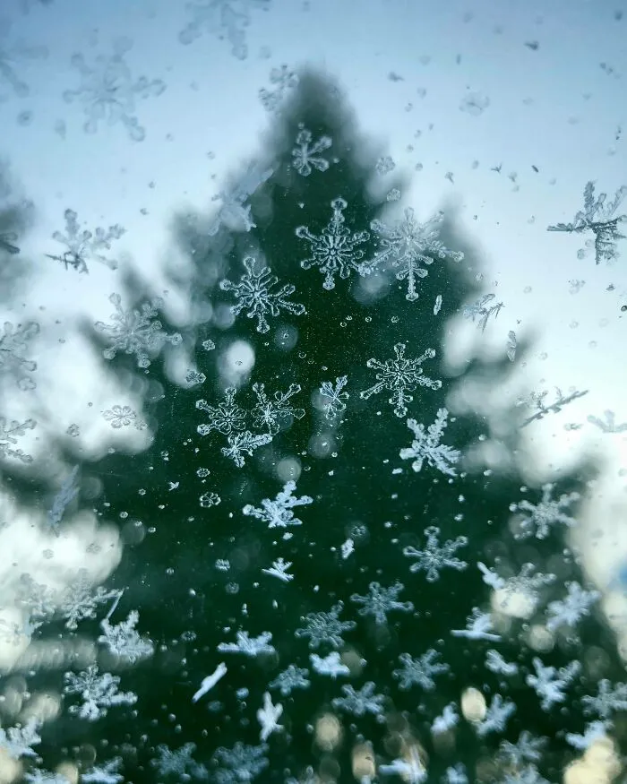Snowflakes On My Car Windshield