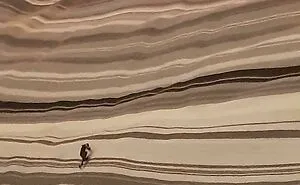 50 Times People Snapped A Pic And Realized It Was An Accidental Masterpiece