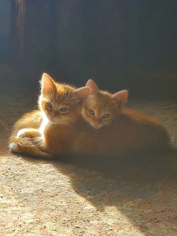 Tomando el sol