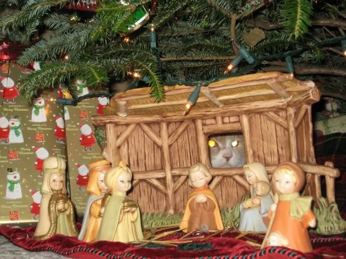 There's No Room At The Inn