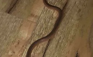 Explore The Land Of ‘Nope’: 50 Surprising Posts Shared By This Online Community (New Pics)
