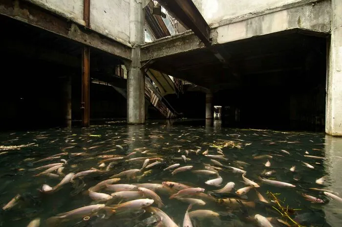 Centro comercial abandonado en Bangkok