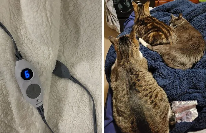 A <span Style="Font:inherit;color:#d74b1f;"> Soft Plush Sherpa Heated Blanket </Span> Will Kick Any Winter Blues Asside