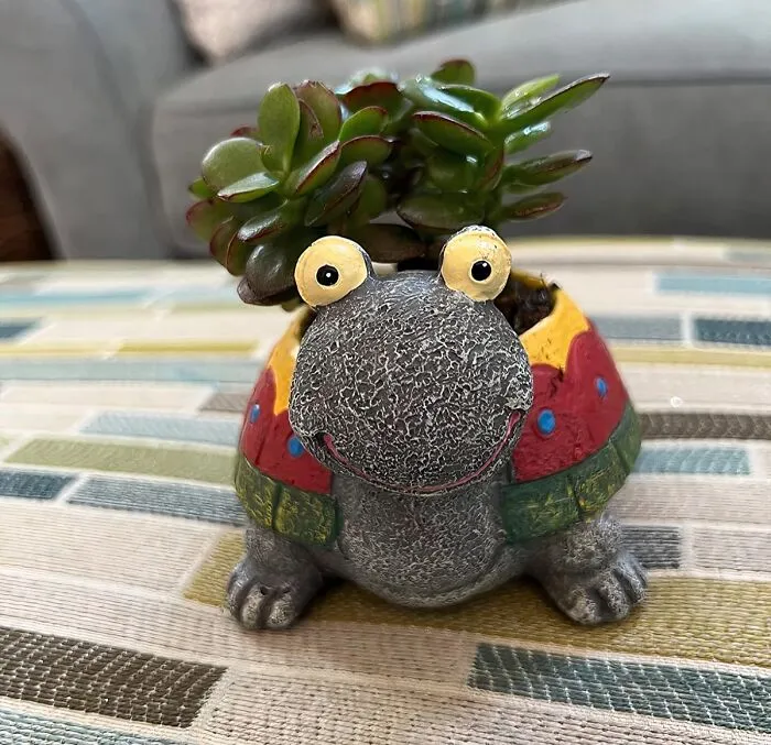 Upgrade Your Office With <span Style="Font:inherit;color:#d74b1f;"> The Turtle Plant Pot</Span>