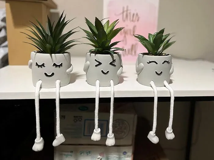 Artificial <span Style="Font:inherit;color:#d74b1f;"> Succulent Plants In Pots</Span>: Adding Greenery Without The Hassle Of Maintenance For Your Office Space