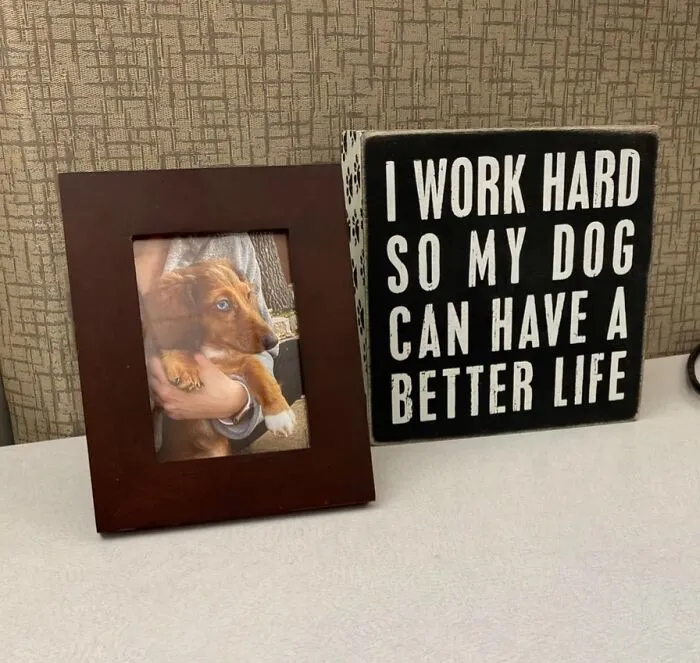 Infuse Your Office With Charm Using <span Style="Font:inherit;color:#d74b1f;"> The Cute Box Sign</Span> – Addition That'll Make You Smile Every Time You Glance At It