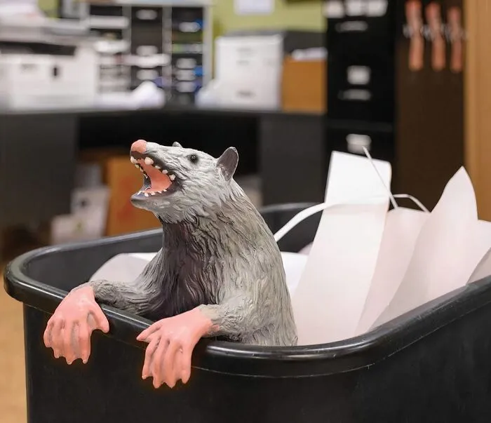 <span Style="Font:inherit;color:#d74b1f;"> The Office Possum</Span> - Bringing Quirkiness And Charm To Your Workspace