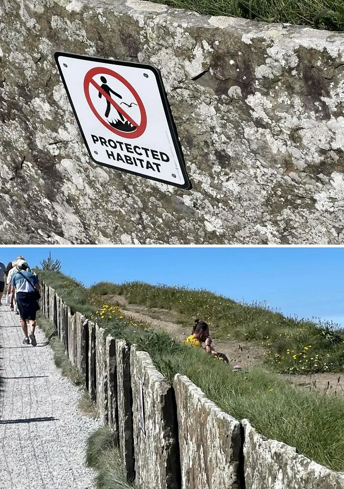 Pareja disfrutando de su picnic tras un muro que no se permite cruzar porque es un hábitat protegido en los acantilados de Moher