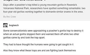 50 Of The Best Posts That Have Ever Been Shared On Tumblr