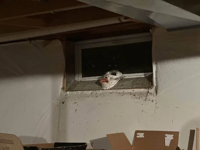 Máscara encontrada en el sótano de un pariente