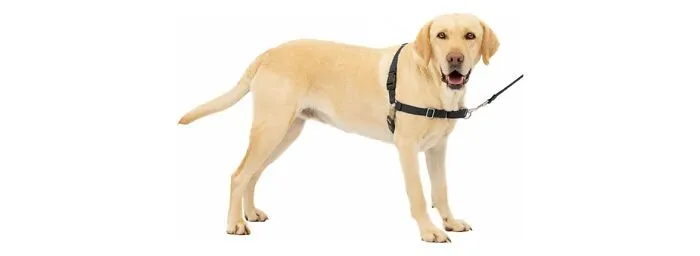 PetSafe Easy Walk Dog Harness