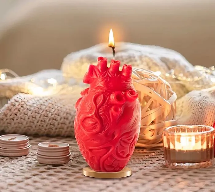 <a style="display:inline;" href="https://www.amazon.com/Zainpe-Anatomical-Aesthetic-Aromatherapy-Decoration/dp/B0CJ5274SR?crid=183PY2KPZNGQ6&dib=eyJ2IjoiMSJ9.IRUNEjLIZ--cqRn3XJi1Lmw_qWCNKqVTZ4AaqhlhiL81zkKMpDmzXEtDTIQymaIo1dZe9oJkqgc1RN12JQevZNmyWkpLrDWU2HmKNkX0bJ8.Jm7nvBMX8fNQEbpXka0sSIJAqMadb0kAq05pEwsoRn8&dib_tag=se&keywords=unique%2Bcandles&qid=1715078555&sprefix=unique%2Bcandles%2Caps%2C209&sr=8-105&th=1&linkCode=ll1&tag=bprhinoceros-20&linkId=ab73df45e2d29df4e422b8c9cadeb183&language=en_US&ref_=as_li_ss_tl " target="_blank"> Say “You Light My Heart On Fire” With This <span Style="Font:inherit;color:#d74b1f;"> Anatomical Heart Shaped Candle</Span>