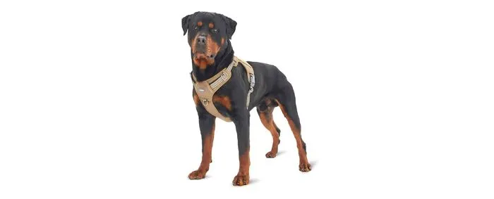 Auroth Tactical Dog Harness