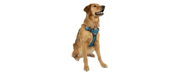 Embark Adventure Dog Harness