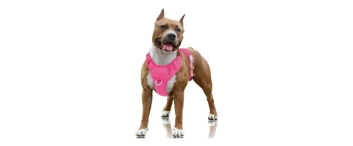 BARKBAY Dog Harness