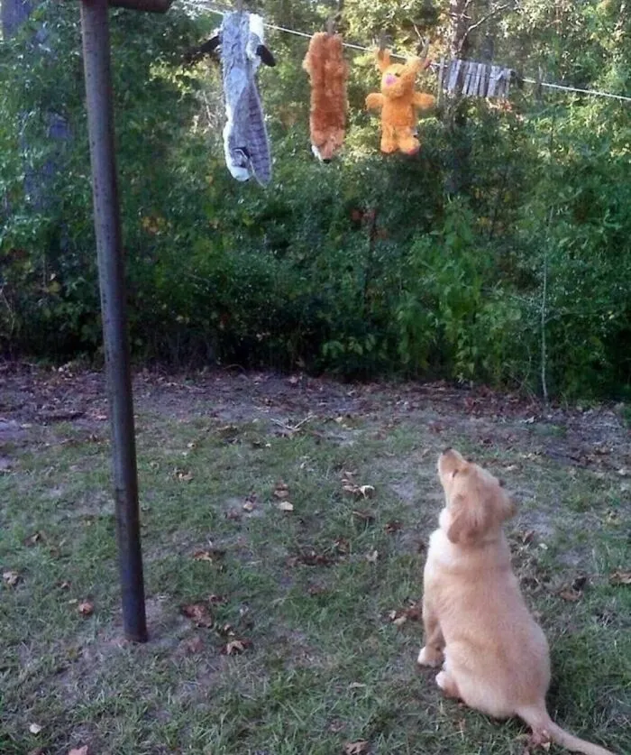 Esperando pacientemente