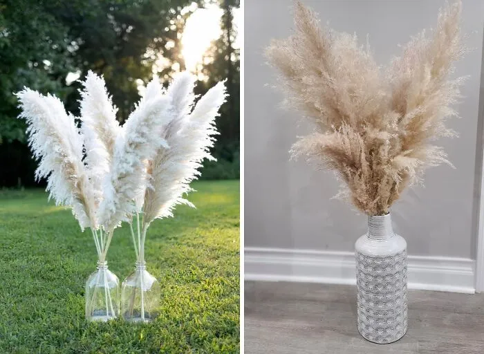 Can You Even Call Yourself A Boho Girlie If You Don’t Have A Bushel Of  <span Style="Font:inherit;color:#d74b1f;"> Pampas Grass </Span> In A Corner?