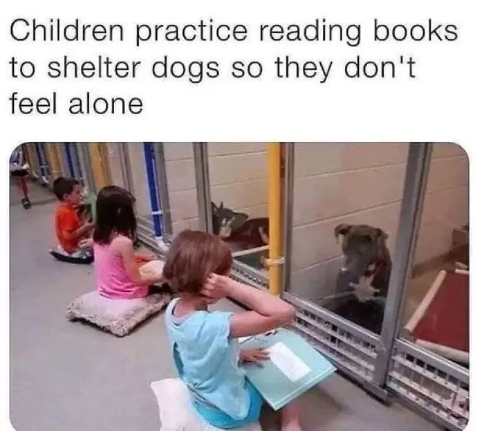 Wholesome-Relatable-Jokes