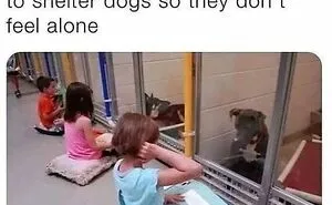 50 Posts To Bring Some Happiness And Joy Into Your Life