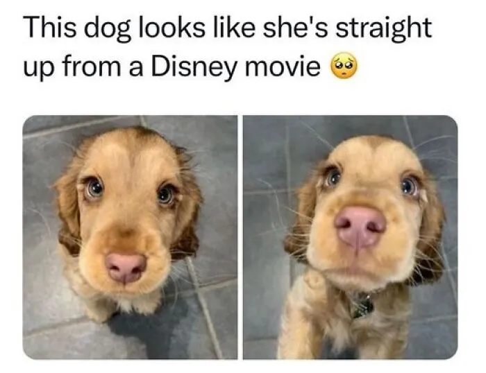Wholesome-Relatable-Jokes