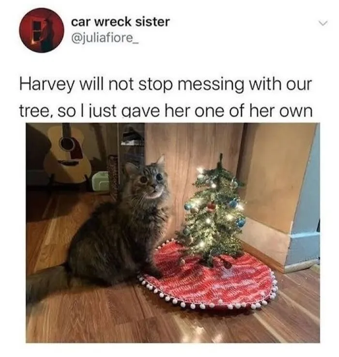 50 Posts To Bring Some Happiness And Joy Into Your Life