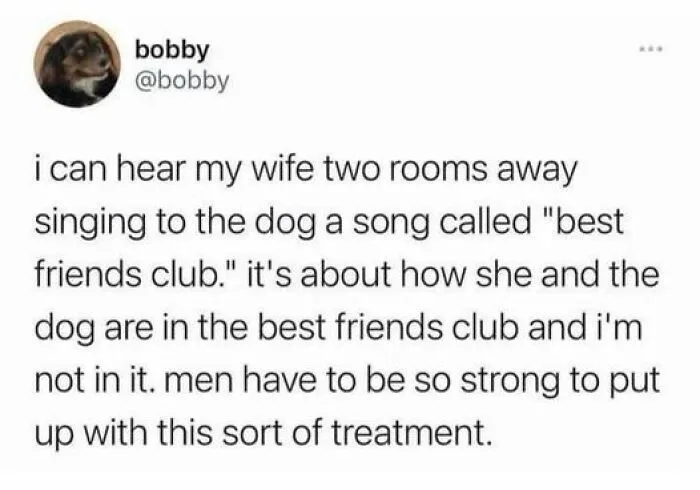 50 Posts To Bring Some Happiness And Joy Into Your Life