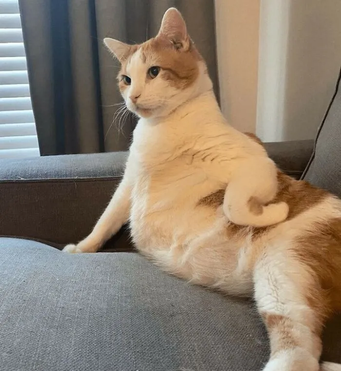 Seriously Dan? You Can't Turn On The TV?