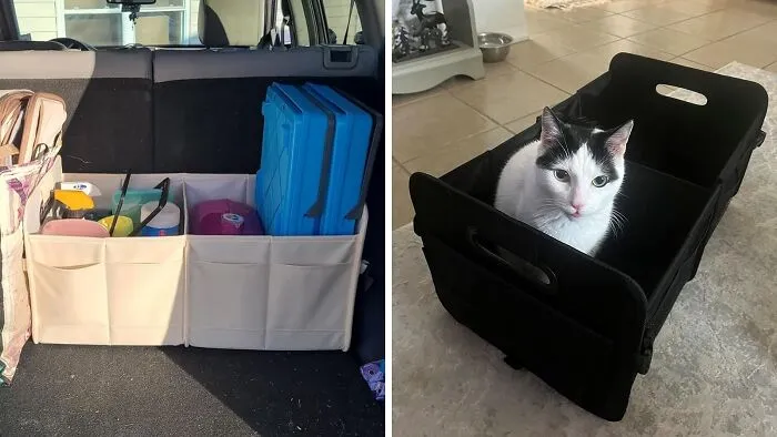 This <span Style="Font:inherit;color:#d74b1f;"> Car Trunk Organizer </Span> Is For OCD: Organized Car Disorder