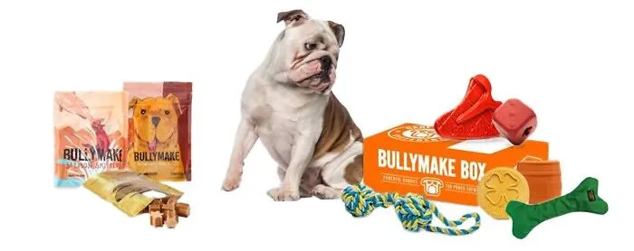BULLYMAKE Box