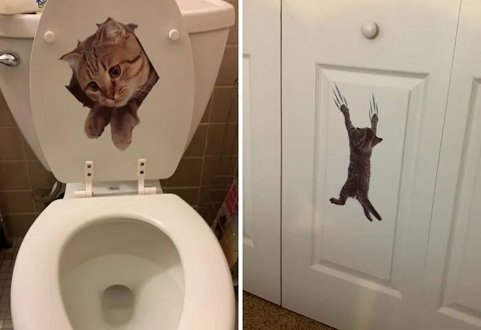 Get Some Claw-ver <span Style="Font:inherit;color:#d74b1f;"> 3D Removable Cat Stickers </Span> If You Can't Get Enough Of Funny Felines