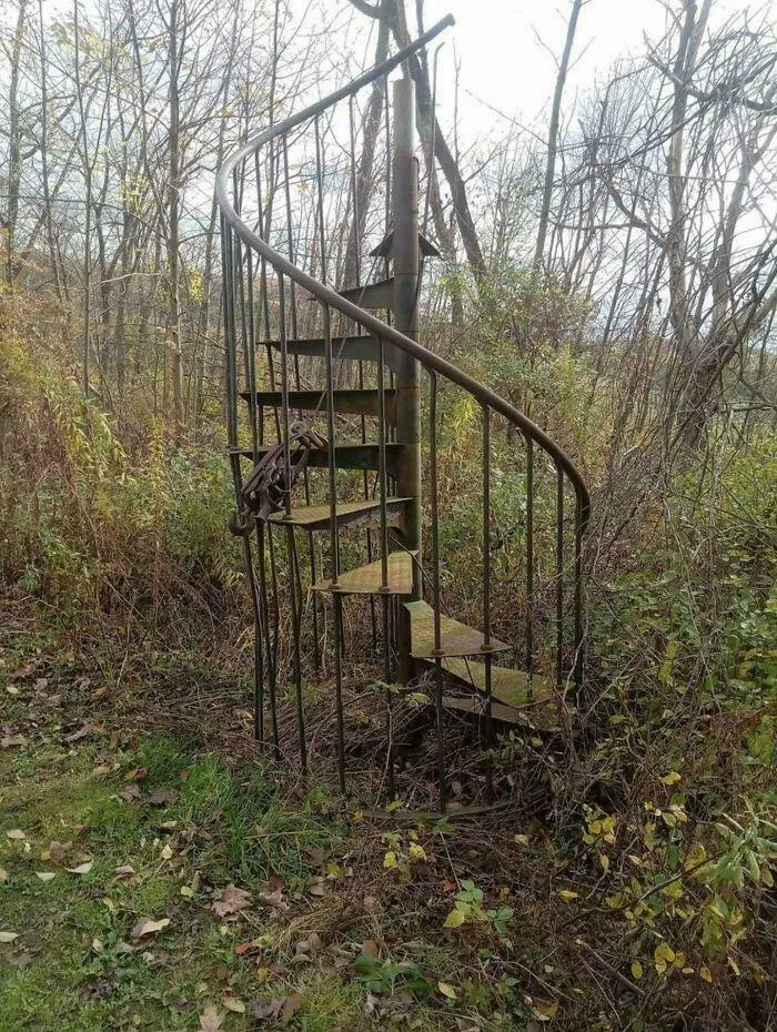 Escalera a ninguna parte en el bosque