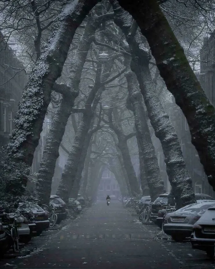 Una calle en Amsterdam, Holanda