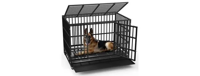 LEMBERI Heavy Duty Dog Crate