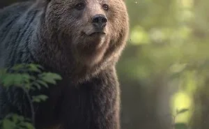 50 Amazing Photos That Might Make You Love Animals Even More