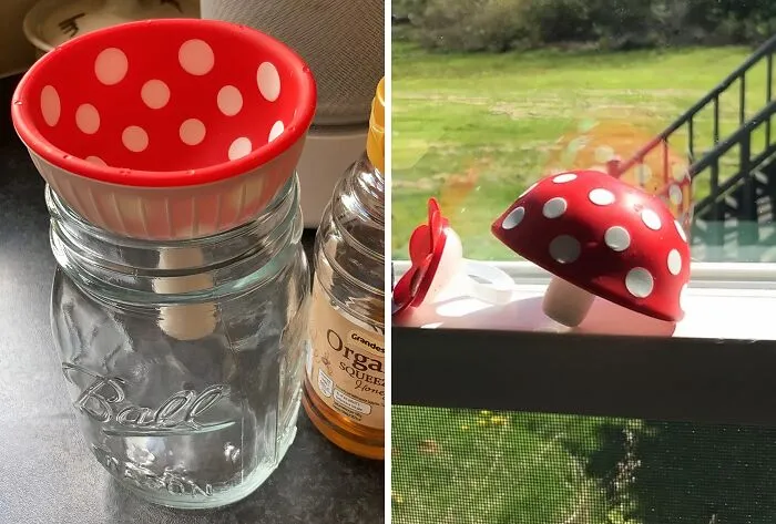 If You Don’t Have Mushroom In Your Kitchen For A Big Funnel, Try This <a Style="Display:inline;" Href="https://www.amazon.com/gp/product/B07YN9HFF7?th=1&linkCode=ll1&tag=bpsquirrel-20&linkId=38d7f066de00ecfd8da7851c0572d174&language=en_US&ref_=as_li_ss_tl" Target="_blank"><span Style="Font:inherit;color:#d74b1f;"> Foldable Small Kitchen Funnel</Span> Instead