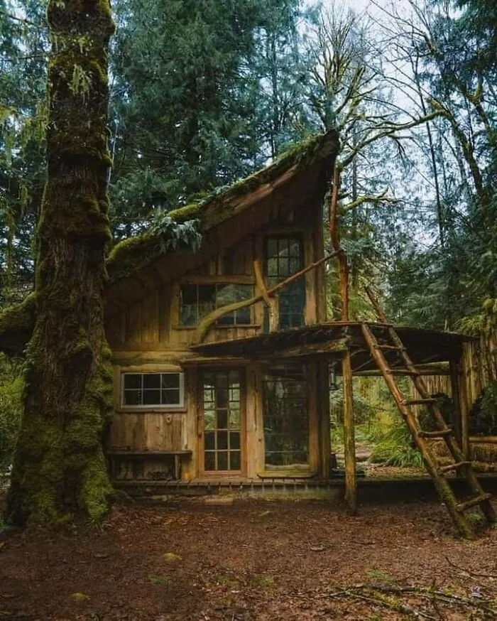 Beautiful Tree House 💗 🏡