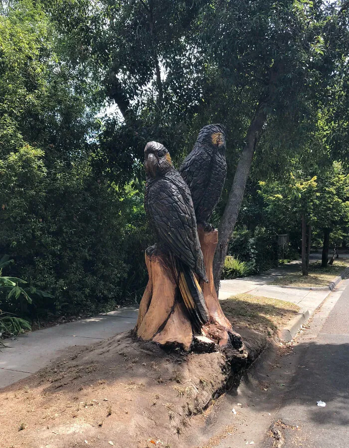 Se cayó un árbol de mi calle, y mi vecino creó esta obra maestra