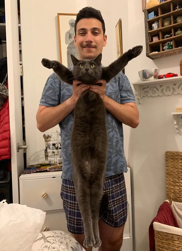 Jesus Take The Kitty
