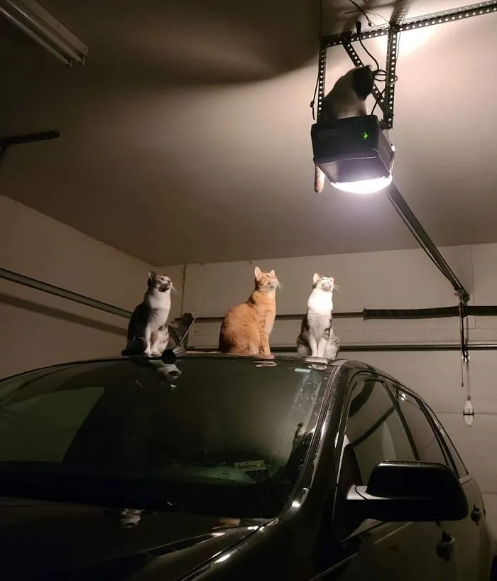 What Did I Just Walk In On?