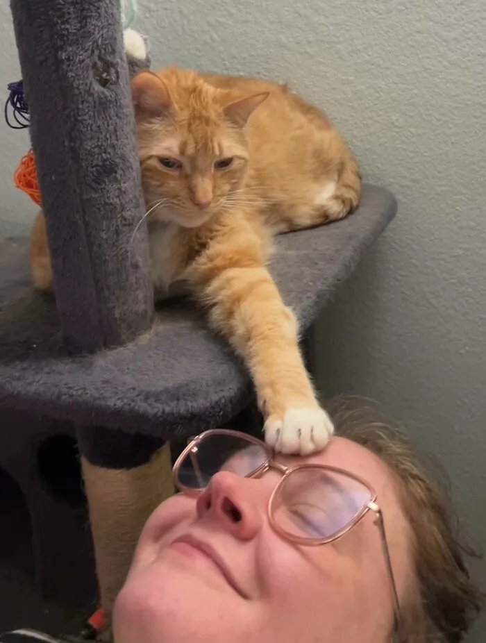 She Has Been Blessed By The Cat