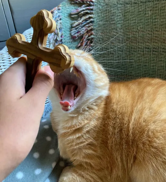 Cursed. Should I Be Worried?