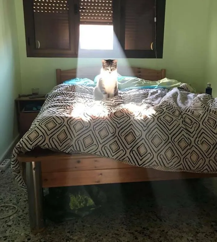 Come, My Son, To The Promised Land