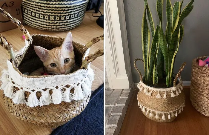 The Only Question Is, How Many <span Style="Font:inherit;color:#d74b1f;"> Woven Seagrass Belly Baskets </Span> Does One Need?