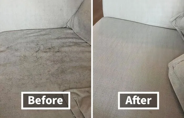 Don't Fear The Fur: This <a Style="Display:inline;" Href="Https://Www.amazon.com/Pet-Dog-Cat-Hair-Remover-Couch/Dp/B00bagtnaq?ie=utf8&th=1&linkcode=ll1&tag=bpgorilla-20&linkid=a5ef5d14de92155b2d0145665e42aacb&language=en_us&ref_=as_li_ss_tl" Target="_blank"><span Style="Font:inherit;color:#d74b1f;"> Pet Hair Remover </Span> Will Clean Up Your Couch In A Flash