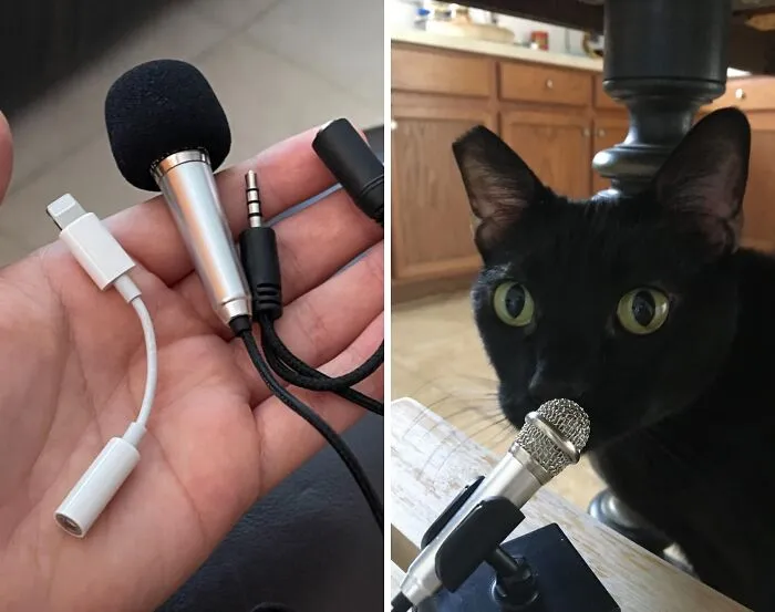 Get Your Hands On This <a Style="Display:inline;" Href=" Https://Www.amazon.com/Portable-Instrument-Microphone-Notebook-Sumsung/Dp/B019f8ancc?crid=3tud5dcryuwxg&dib=eyj2ijoimsj9.1f0a2ntq5gzfatslid7-7tsup6r6wko9-Iabiyyuptulvxe2kjuqhuam2kaeeqkly6ctxy7vaqc2oi9rhbdakhvbleatf7s8auoi53bjgxe5po46jihevlmn68x55oqfx3bx32-Nzu8xd8llmvnogdcja77m-G5cmdvqtvmymnfwnezahk6nq_dgt0cwdhfwglh3fkmqqk0kruazmm0dhi6fovqhwaexmkzhmtq6q5yyosso-Mhf1qk-Bh0kjzrmnir5dotudv01pplsdggwxdcteyfuebtskb90zztx5q8.bgfn9ssmk94jggf7qkgv7am4s04drp-Rijr5vis2fe4&dib_tag=se&keywords=cool%2bstuff&qid=1715851471&sprefix=cool%2bst%2caps%2c301&sr=8-41&th=1&linkcode=ll1&tag=bpbison-20&linkid=46b1dd29425c5eaf6b80c52b88ed951e&language=en_us&ref_=as_li_ss_tl" Target="_blank"><span Style="Font:inherit;color:#d74b1f;"> Mini Portable Microphone For A Mobile Phone </Span> If You Want To Be One Of Those Annoying People That Interviews Folks On The Street