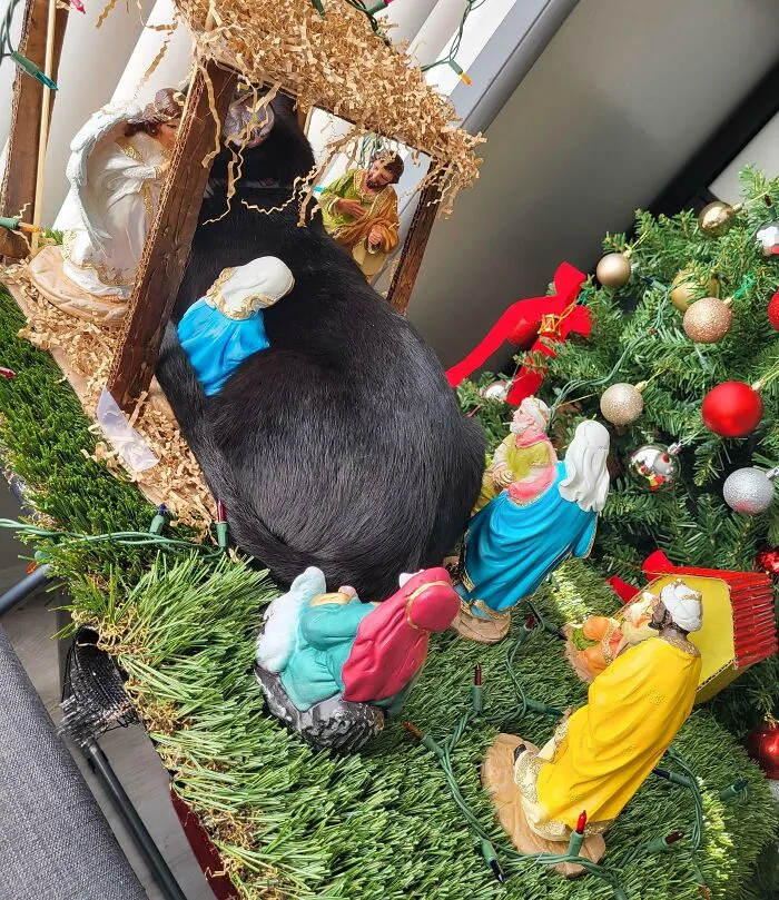 If I Fits, I Sits. Christmas Edition